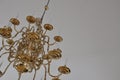 Chandelier Royalty Free Stock Photo