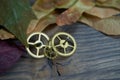Brass cog wheels, autumn leaves on wood background Royalty Free Stock Photo