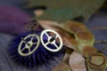 Brass cog wheels, autumn leaves on wood background