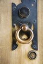 Brass Door Handle at Meiji Shrine