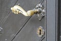 Brass door knob Royalty Free Stock Photo