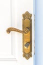 Brass door knob Royalty Free Stock Photo