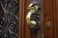 Brass Door Knocker Royalty Free Stock Photo