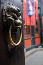 Brass door knocker Royalty Free Stock Photo
