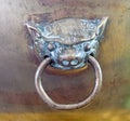 Brass door knocker lion head