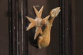Brass door knocker shape of dolphin on old brown doors Royalty Free Stock Photo