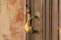 Brass door knocker shape of dolphin on old brown doors Royalty Free Stock Photo