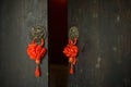 Brass door knockers,China