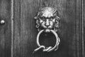 Brass doorknocker, lion head and snake loop design, black and white Royalty Free Stock Photo