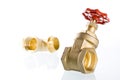 Brass gate valve