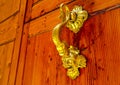 brass or golden door handle on red brown wooden door