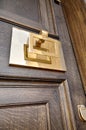 A brass handle, knocker and paneling on wooden grained door Royalty Free Stock Photo