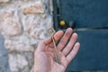 Old vintage brass door Key in mans hand Royalty Free Stock Photo