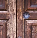 brass knocker and wood glass door caronno varesino varese