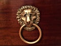 Brass lion, artistic detail