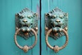 brass lion head door knocker and matching Royalty Free Stock Photo