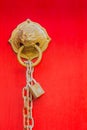 Brass lion head door knocker Royalty Free Stock Photo