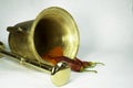 Brass mortar and pestle red pepper spices Royalty Free Stock Photo