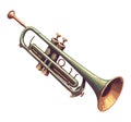 Brass musician blowing shiny trumpet