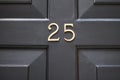 Brass number twenty five attached to brown wooden panelled door