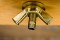 Brass nut - fastener of furniture with copyspace, macro shot Royalty Free Stock Photo