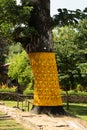 Brass plate carved in Thai style on a tree