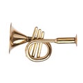 Brass shiny horn