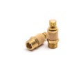 Brass silencer. Royalty Free Stock Photo