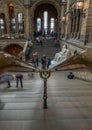 Brass stair railing and stone staircase on the main hall of the Natural History Museum Royalty Free Stock Photo