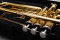 Brass trumpet Royalty Free Stock Photo