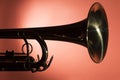 Brass trumpet bell macro closeup Royalty Free Stock Photo