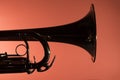 Brass trumpet macro closeup Royalty Free Stock Photo