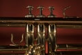 Brass trumpet macro closeup Royalty Free Stock Photo