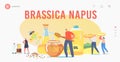 Brassica Napus Landing Page Template. Characters Extracting Rapeseed Canola Oil and Honey. Apiary Production Royalty Free Stock Photo