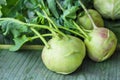 Brassica oleracea gongylodes group on banana leaves background Royalty Free Stock Photo