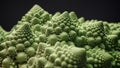 Brassica oleracea, Romanesco broccoli Royalty Free Stock Photo