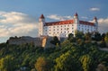 Bratislava castle - detail