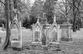 Old tombs in Ondrejsky cemetery in Bratislava, Slovakia