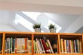 Last shelf with books in Slovak under the ceiling in the library of monastery of the Sisters of the Most Holy Savior, Bratislava