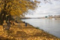 Autumn trees near the Danube river in Bratislava Royalty Free Stock Photo