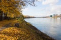 Autumn trees near the Danube river in Bratislava Royalty Free Stock Photo