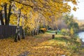 Autumn trees near the Danube river in Bratislava Royalty Free Stock Photo