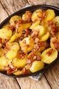 Bratkartoffeln German Cottage Potatoes With Bacon and Onion close up in the plate. Vertical