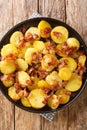 Bratkartoffeln German Cottage Potatoes With Bacon and Onion close up in the plate. Vertical top view