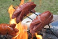 Bratwurst preparing on the fire Royalty Free Stock Photo