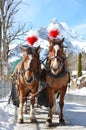 Braunwald, famous Swiss skiing resort Royalty Free Stock Photo