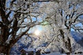 Braunwald in Switzerland Snow Christmas Mountains Royalty Free Stock Photo