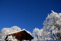 Braunwald in Switzerland Snow Christmas Mountains Royalty Free Stock Photo