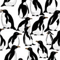 brautiful penguins, AI-generatet Royalty Free Stock Photo
