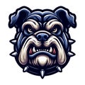 brave animal bulldog head face mascot design vector illustration, logo template isolated on white background Royalty Free Stock Photo